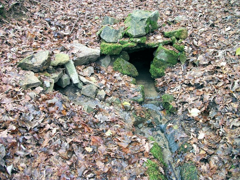 Dvojstudánka (7749)