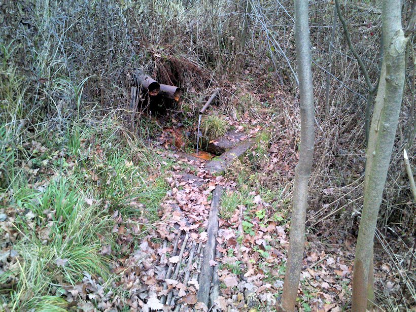 studánka bez jména (7751)