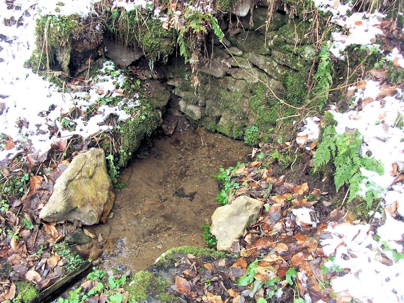 studánka Vogelsang (7755)