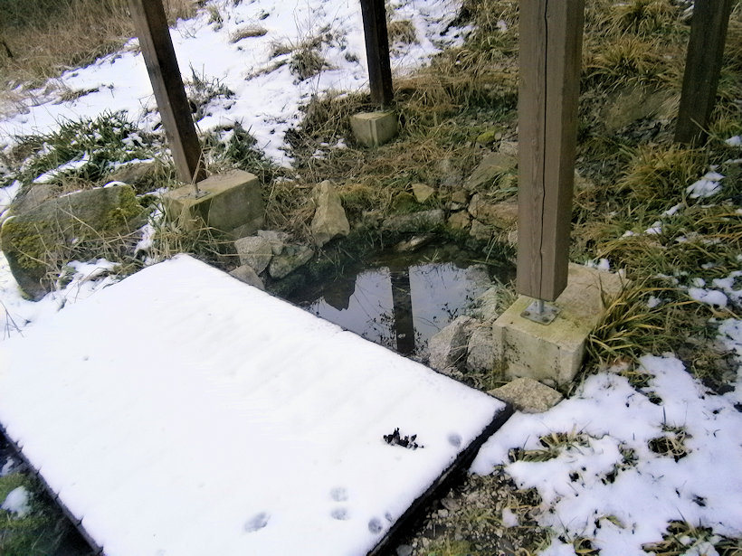 studánka U Rybníka (7757)