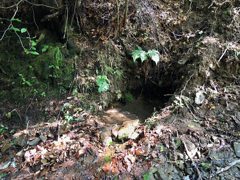 studánka bez jména (7758)