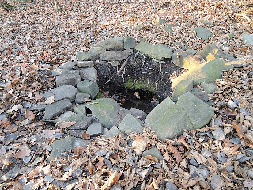 studánka bez jména (7759)