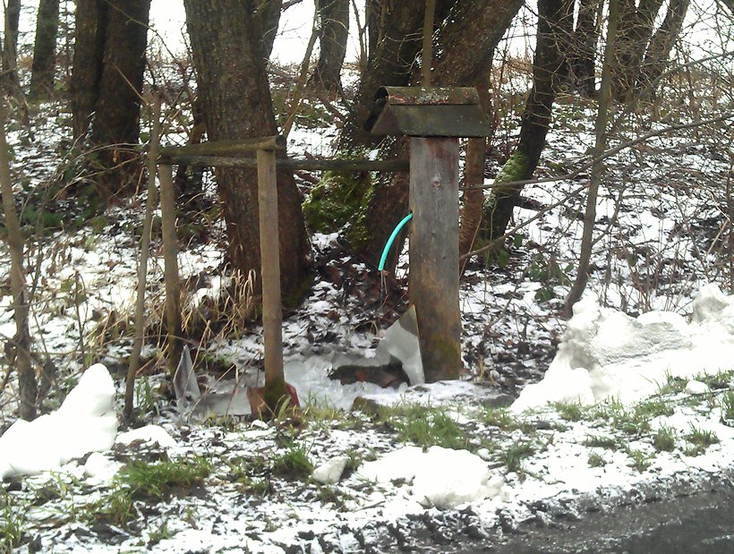 studánka Na Nesytě (7766)