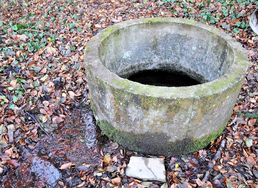 Léčivý pramen (7775)