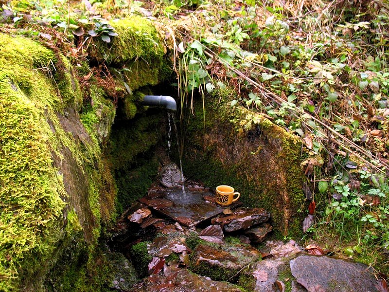 studánka Cvrkánek (7778)