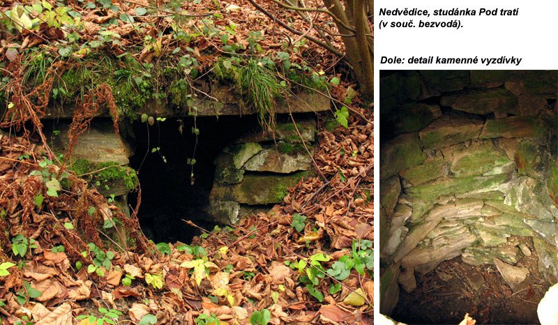 studánka bez jména (7779)