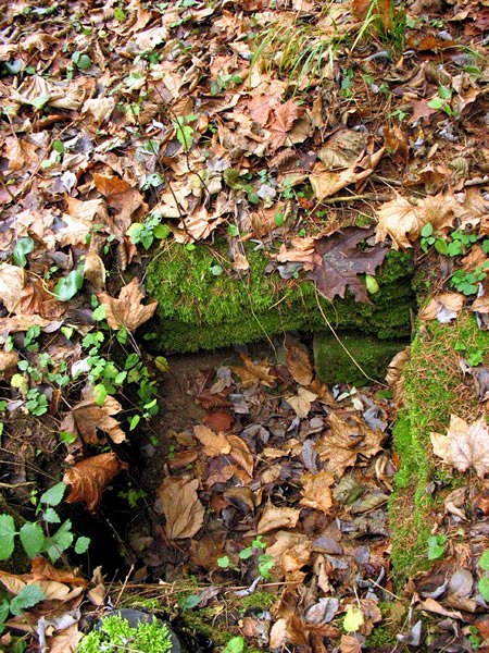 Italská studánka (7780)