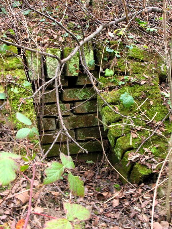 studánka Pod Kasany (7781)