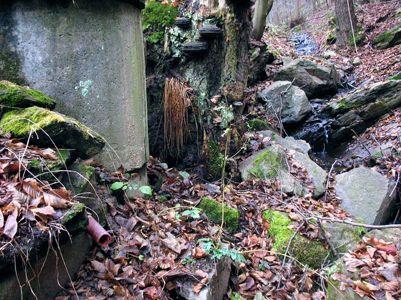 studánka Pod mezí (7782)