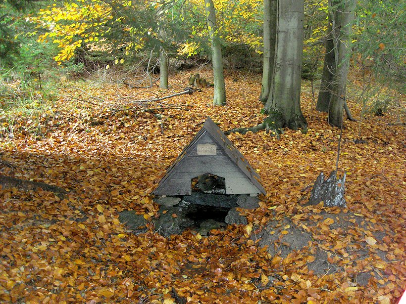 studánka V Borovině (7789)