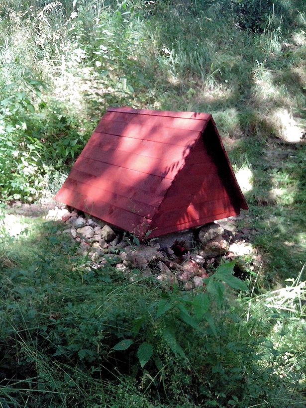 studánka U žabáka Cecila (7794)