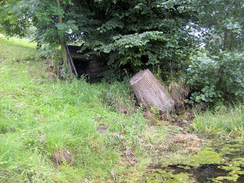 studánka U rybníčka (7795)