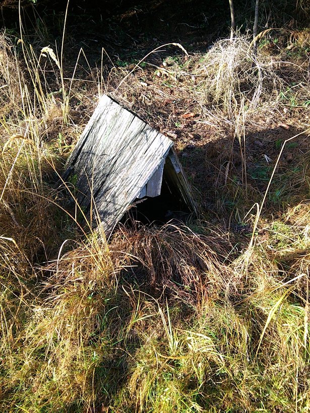 studánka Křivolačka (7798)