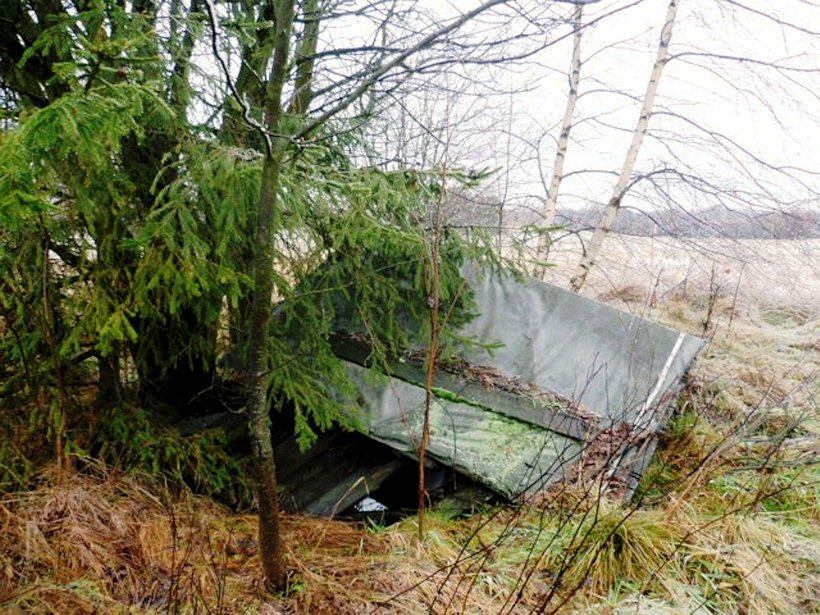 studánka Na Františku (7799)