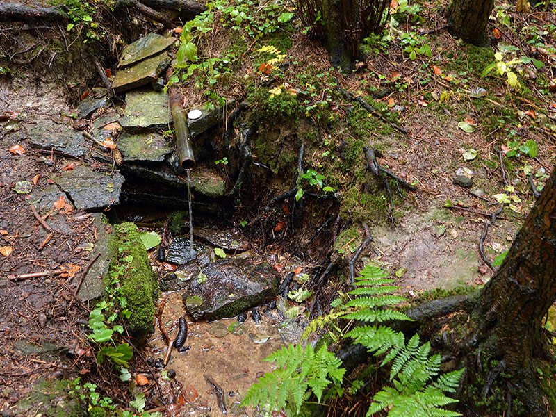 Trampská studánka (7801)