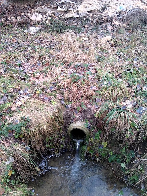 studánka U čísla 28 (7806)