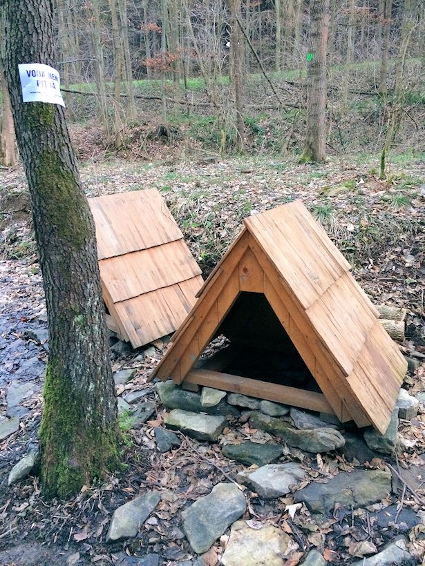 studánka Sirné prameny (7814)