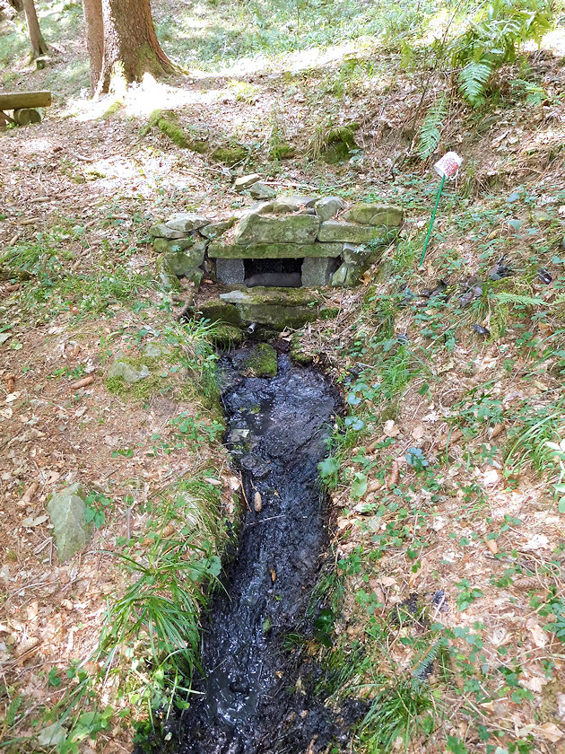 studánka Jurčákův pramen (7815)