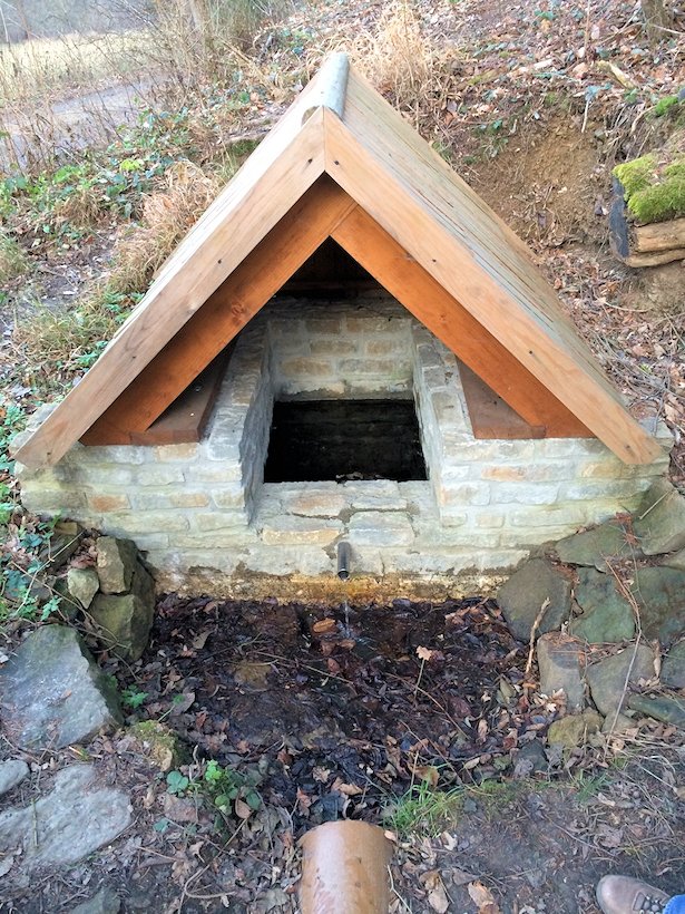 studánka U Staré hájenky (7816)