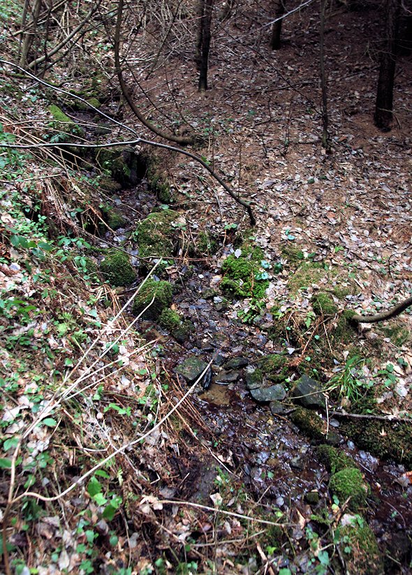 prameniště Paseky (7833)