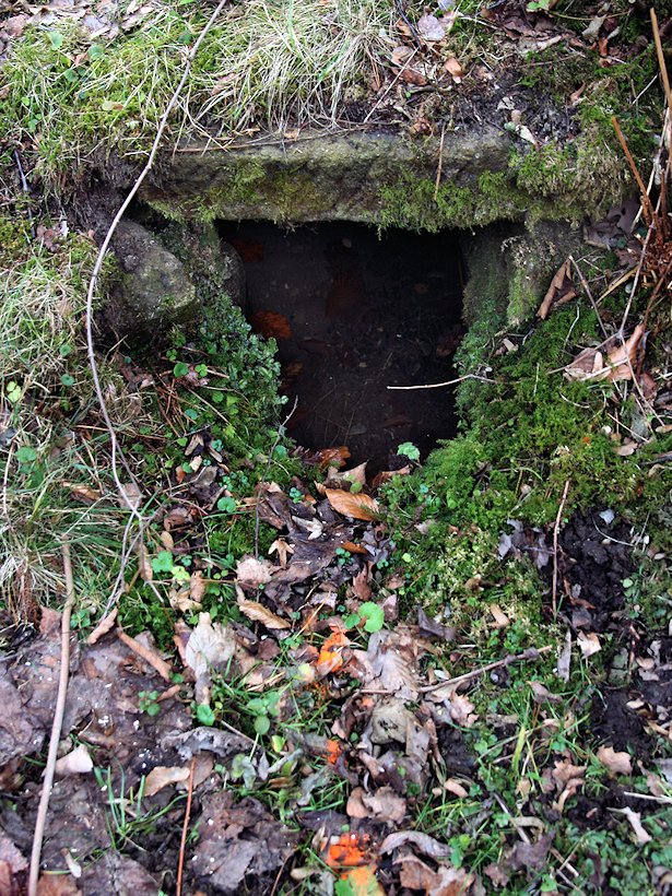 studánka Pod Březú (7835)