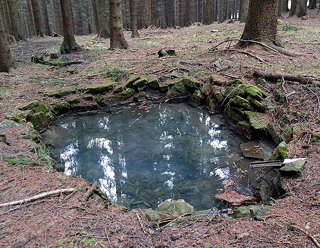 Lesní studánka (7842)