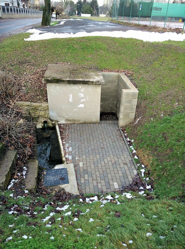 pramen U tenisových kurtů (7856)