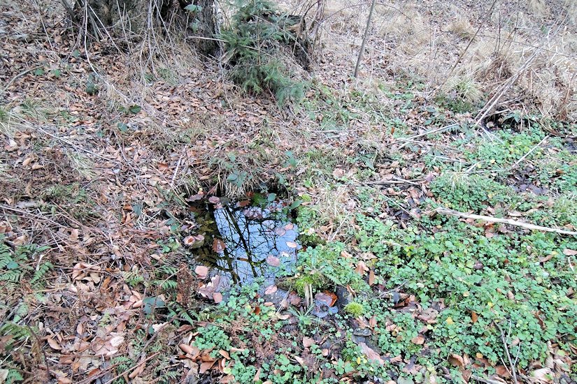 studánka Bezedná studna (7869)