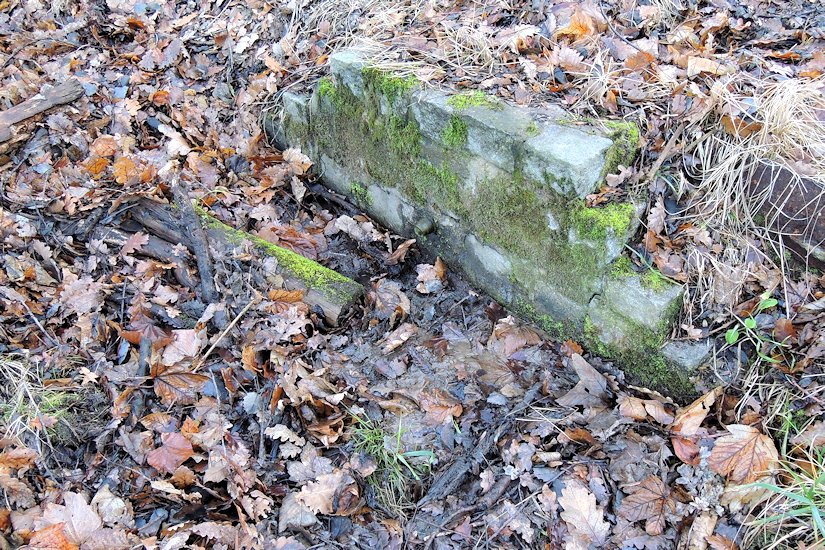 studánka Pod Hrabyňákem (7873)