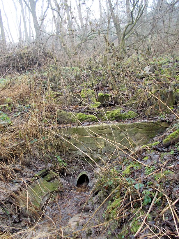 Harpagonova studánka (7874)
