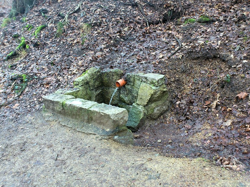 studánka bez jména (7877)