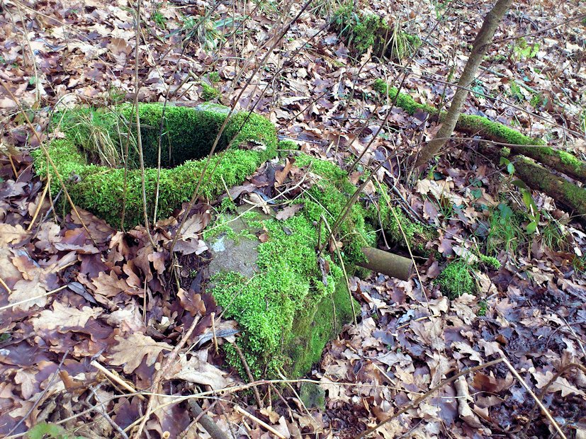 studánka bez jména (7890)