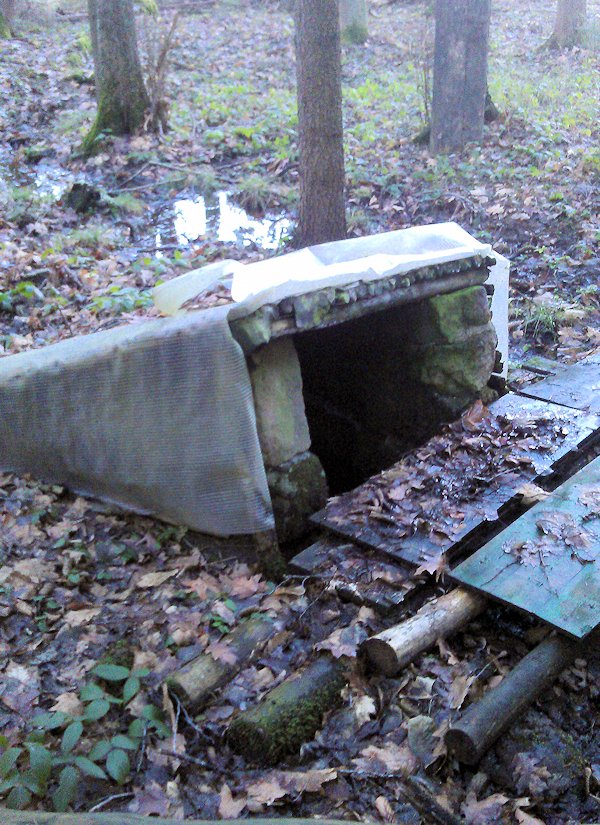 studánka Pod Rabišem (7891)