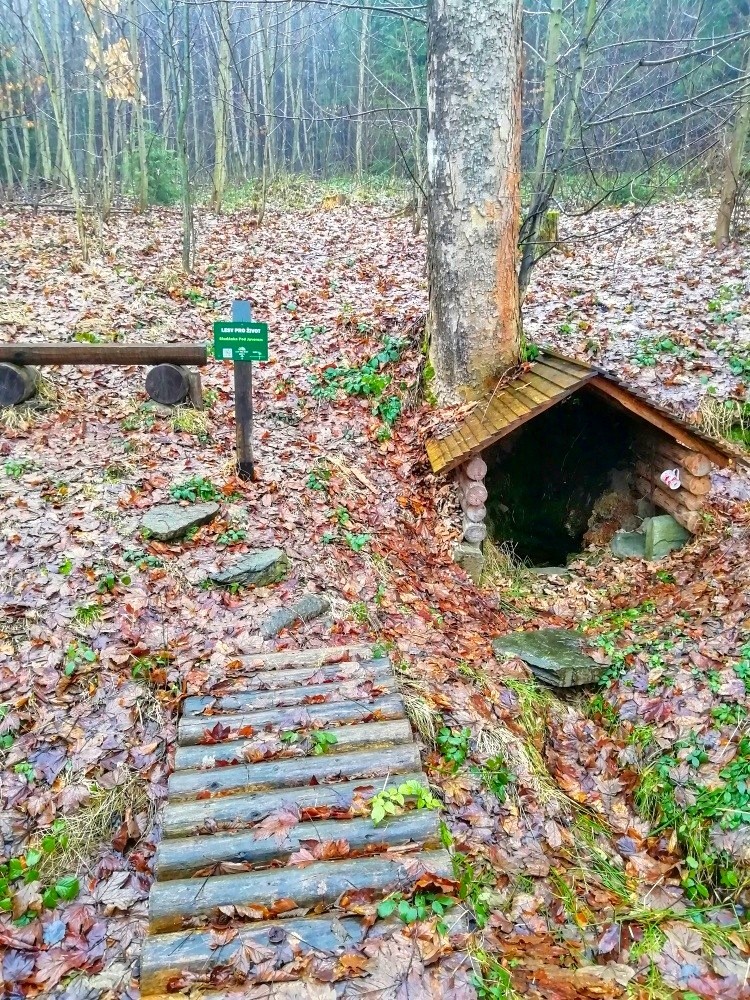 studánka Pod javorem (7892)