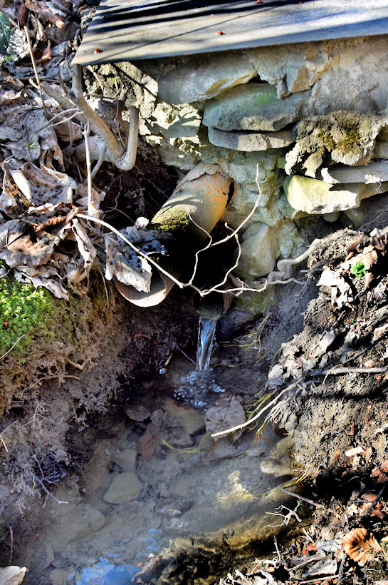 studánka Pod Javořinou (7900)