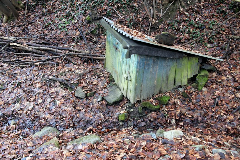 studánka V Zatáčce (7901)