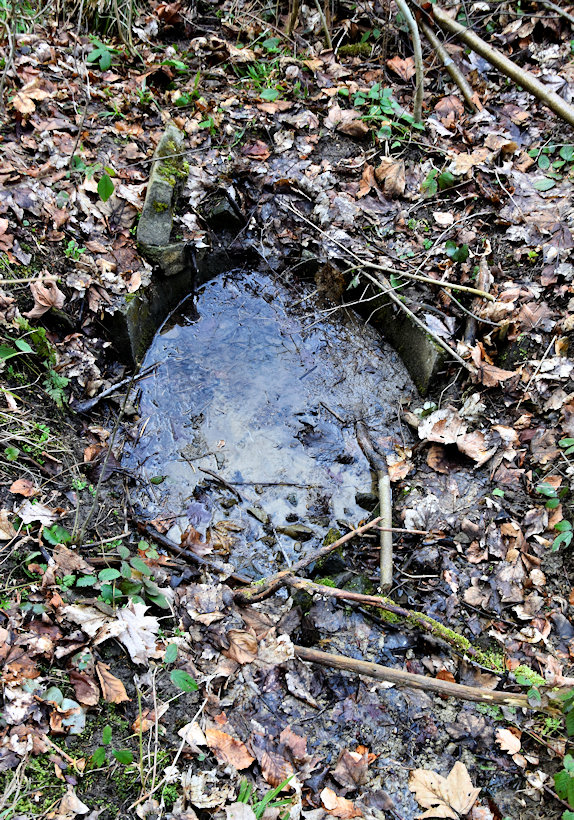 studánka Nad Hříbky (7902)