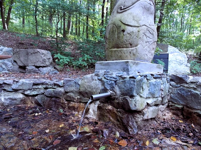 studánka Nad Němčickou hájenkou (7906)