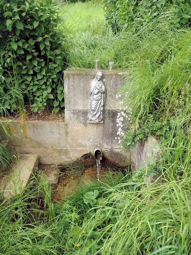 studánka Pod Starou Horou (7911)