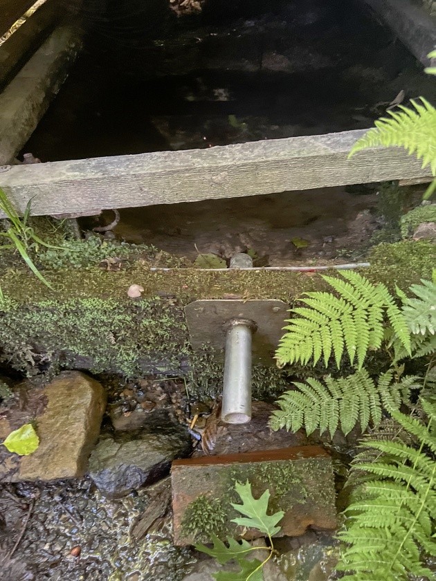 Bobrovnická studánka (7924)