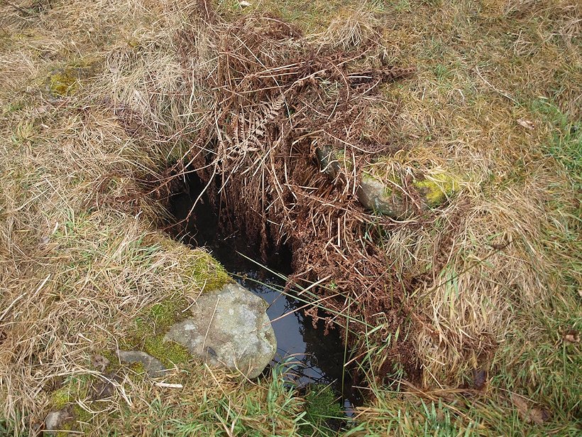studánka Kroupnice (7934)