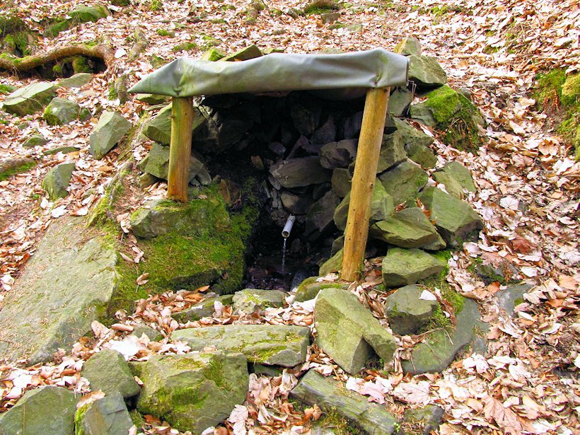 studánka bez jména (7947)