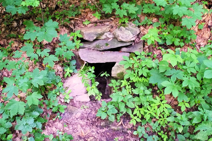 studánka bez jména (7948)
