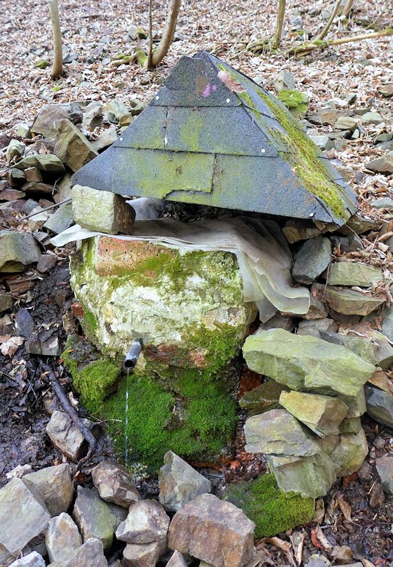 studánka V Rýžích (7977)