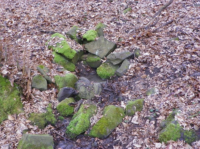 studánka Pod Volskou horou (7982)
