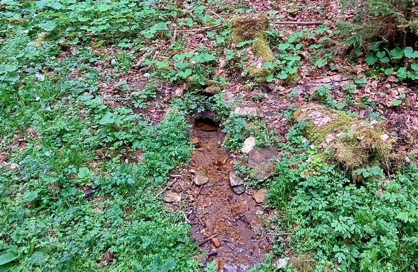 pramen Nad můstkem (7986)