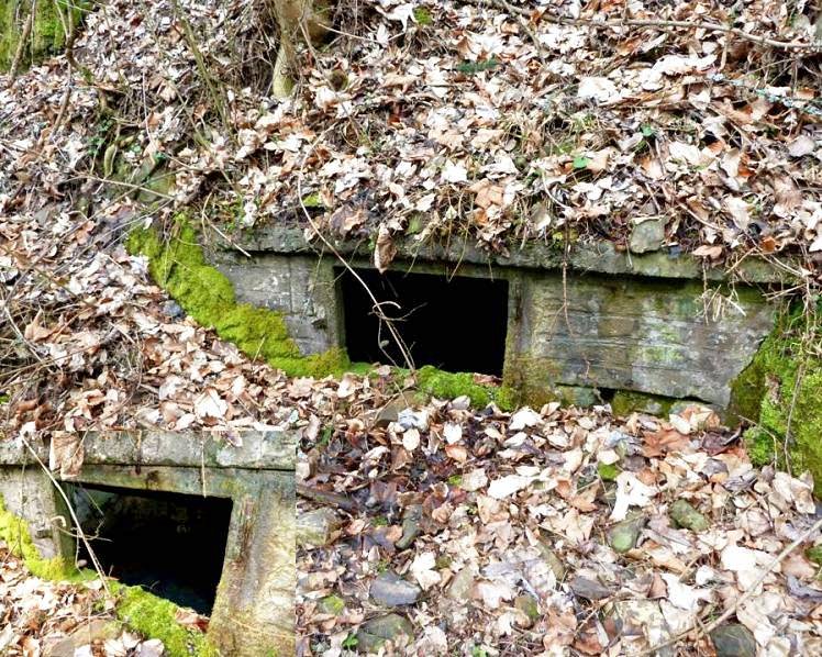 studánka bez jména (7992)