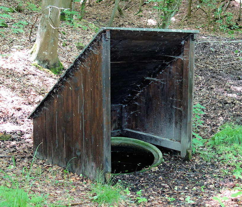 studánka U Cvočkaře (7993)