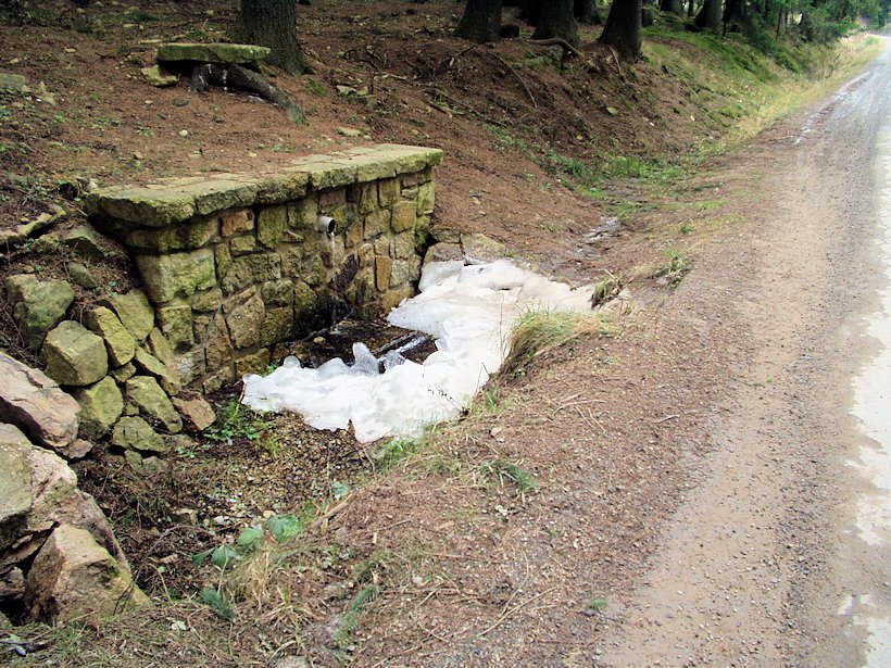 studánka Pod Zdeňkovem (7995)