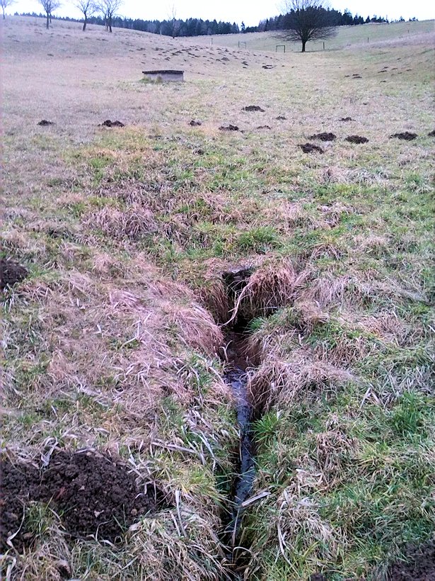 pramen Nad Vlčkovem (8001)